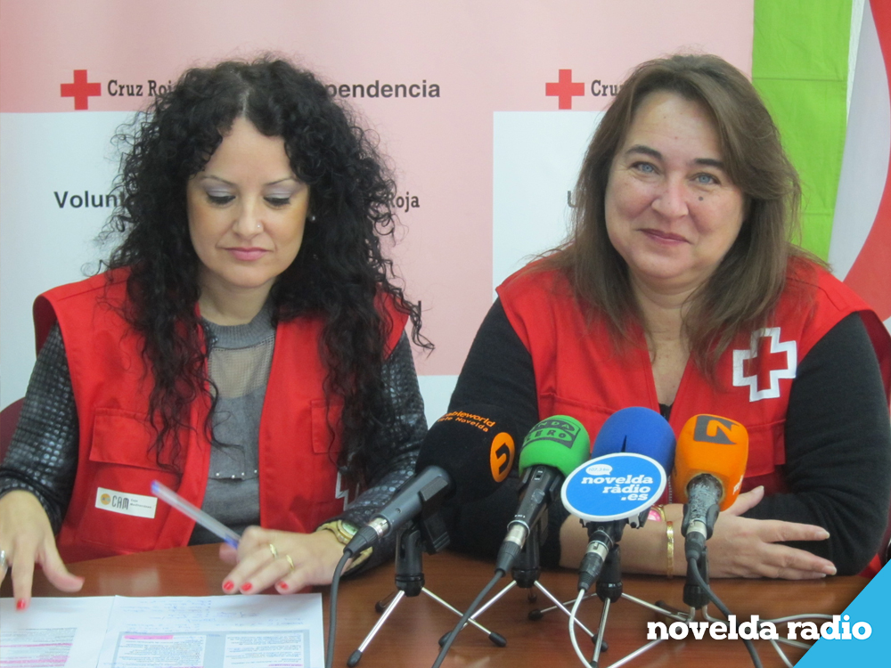 Cruz Roja web